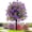 Purple, variant on Artificial Violet For Outdoor Indoor Garden Home Decoration, Uv Resistant & Waterproof Artificial Flower Decor, 23" Ground Insert Faux Violet Flowers For Porch Patio Garden Home Yard