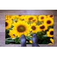 thumbnail image 5 of Large Rug, Area Rug, Thick Rug, Personalized Gift, Sunflower Rugs, Yellow Rugs, Botanical Rug, 3D Printed Rug, Large Rug, Living Room Rug, 2'x3' - 60x90 cm, 5 of 8