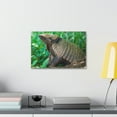 thumbnail image 4 of Funny Armadillo Silly Armadillo Outside Wall Art Ready to Hang Unframed, 4 of 18