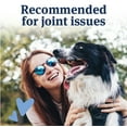 thumbnail image 5 of PetArmor Aspirin Chewable Tablets for Dogs, SM 75ct, 5 of 8