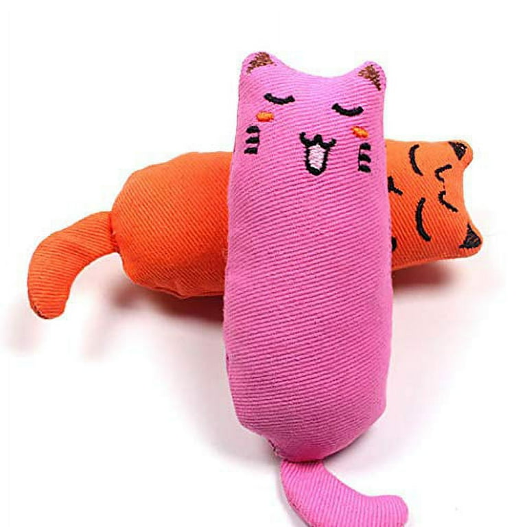 Catnip chew toy 2025