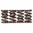 thumbnail image 2 of Skunk2 Pro Series Honda/Acura K-Series i-VTEC XP Valve Spring Set (Dual Springs) Fits select: 2002-2009 HONDA CR-V, 2003-2004 HONDA ACCORD, 2 of 3