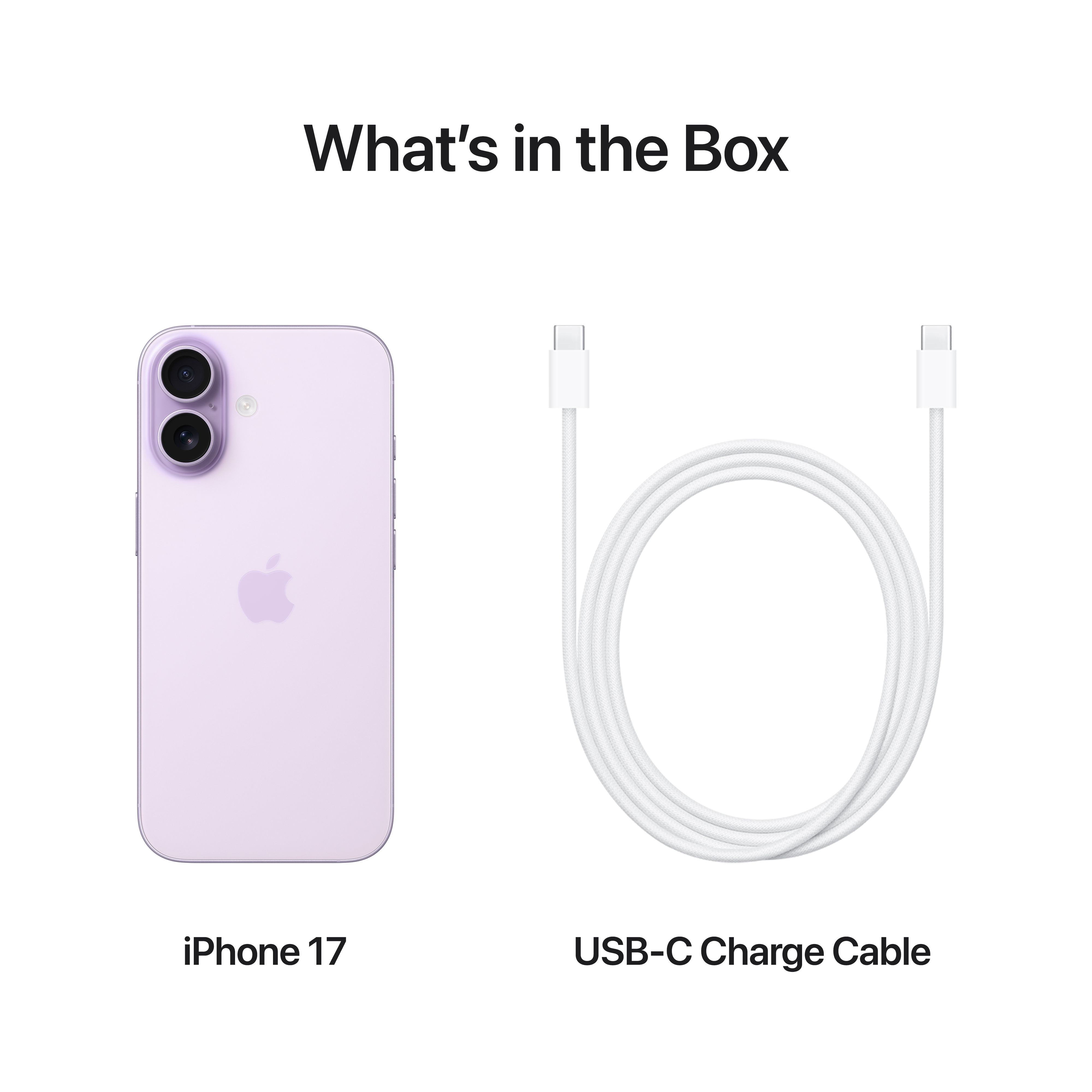 Verizon iPhone 17 512GB Lavender