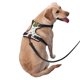 thumbnail image 2 of Fotbe Snowflakes Santa Claus Arnés para Perro con Estampado –Chaleco Ajustable Acolchado con Asa de Control para Perros Grandes-Large, 2 of 6