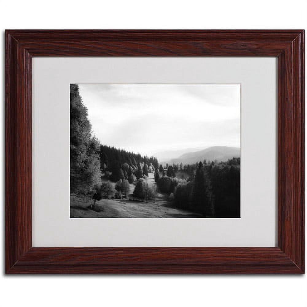 Trademark Fine Art "Spotlight" Canvas Art by Philippe Sainte-Laudy, Wood Frame