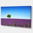 thumbnail image 2 of Green Tree among Lavender Flowers - Oversized Landscape Wall Art Print, 2 of 3