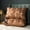 brown, variant on 2PCS Hotel Quality Pinch Pleat Pillow, Breathable & Skin-Friendly Pillow Core, Light Luxury Decorative Pillow, Neck Support & Sleep Enhancing Pillow, Available in Multiple Colors(brown,Queen)