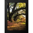 thumbnail image 2 of Head, Danny 17x24 Black Modern Framed Museum Art Print Titled - Under the Live Oaks II, 2 of 5