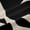 Wheat Black 02, variant on Feelyou Orange Cherry Blossoms Curtains Pack of 2 (42x84 Each), Garden Flower Floral Curtains Blackout, Countryside Plant Bedroom Curtains, Blackout Curtains Home Decor