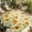 Yellow Green, variant on Yellow Sunflower Outdoor Rug for Patio/Deck/Porch, Non-Slip Large Area Rug 3 x 5 Ft, Grey Plaid Country Bee Farmhouse Floral Indoor Outdoor Rugs Washable Area Rugs, Camping Rug Carpet Runner