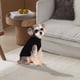 thumbnail image 2 of Suéter acogedor para razas pequeñas y grandes Diseño de punto suave para una comodidad máxima Ideal para el clima frío Duradero y fácil de limpiar Perfecto para uso en interiores y exteriores, 2 of 4
