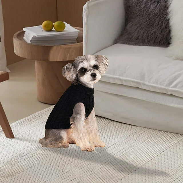 Chandail Confortable pour Chaleur et Confort par Temps Froid, Aventures pour Chats et Chiens