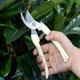thumbnail image 3 of Premium Pruning Shears, Modern Garden Scissors, Durable Garden Scissors, Sharp Garden Scissors, 2-pack, 3 of 5