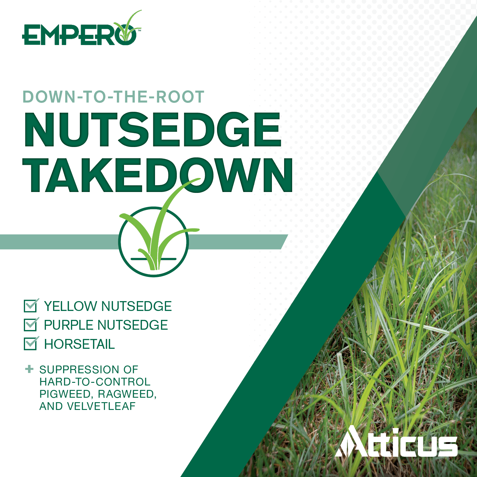 Empero Nutsedge Killer (1.33 oz) - (Compare to Sedgehammer) - Halosulfuron-Methyl 75% - Herbicide for Established Lawns, Ornamental Turfgrass, & Landscape Areas - by Atticus