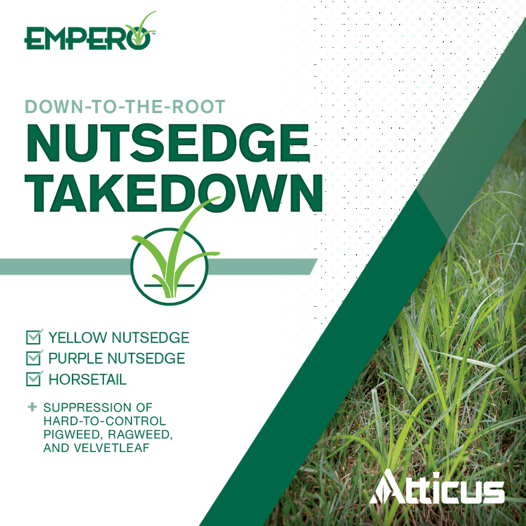 Empero Nutsedge Killer 1.33 oz by Atticus Compare to SedgeHammer Halosulfuron Methyl 75 Turf Herbicide Kills Nut Grass in Established Lawns