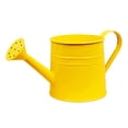 thumbnail image 2 of Metal Watering Can For Outdoor Plants, Galvanized Steel Watering Can With Removable Spout, Perfect Home & Garden Décor Yellow 12*12*11Cm Home Decor, 2 of 6