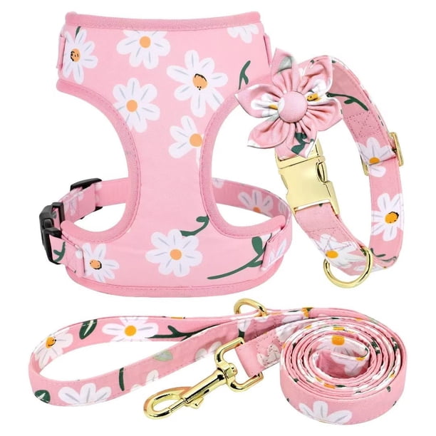 Conjunto de collar, arnés y correa para perro Beirui Cute Girl Pink M