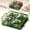 Green, variant on Divided Serving Platter with Lid, Snack Tray with Removable Bowls, Serving Platter for Cookies Chips & Dip for Parties and Gatherings, White