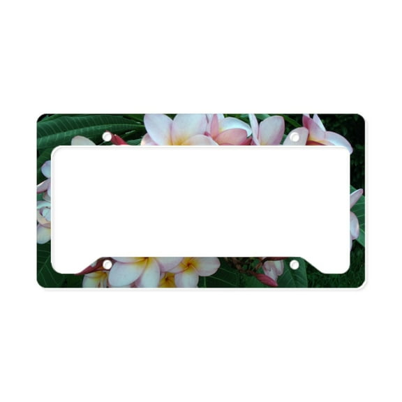 CafePress - Pretty Pink Plumeria Flowers License Plate Holder - Aluminum License Plate Frame, License Tag Holder