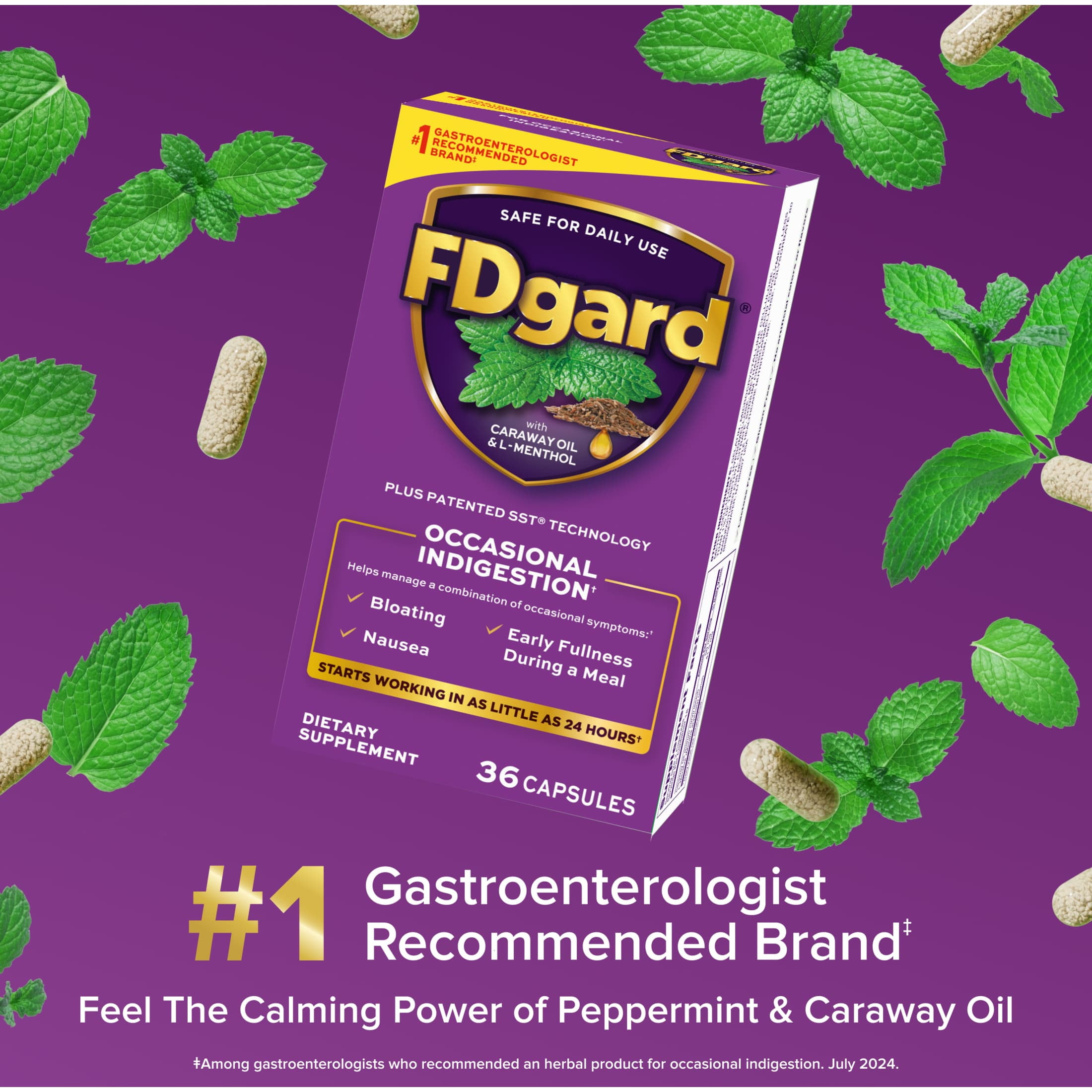FDgard Digestive Health Supplement with Caraway Oil & L-Menthol for Occasional Nausea, Bloating & Upset Stomach†, 36ct (Packaging May Vary)
