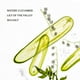 thumbnail image 4 of Spray desinfectante para manos Touchland Gentle Mist, 30 ml, Lily of the Valley, 4 of 8