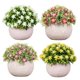 thumbnail image 2 of Planta en maceta de pulpa artificial NQ estrellas rojas, 2 of 4