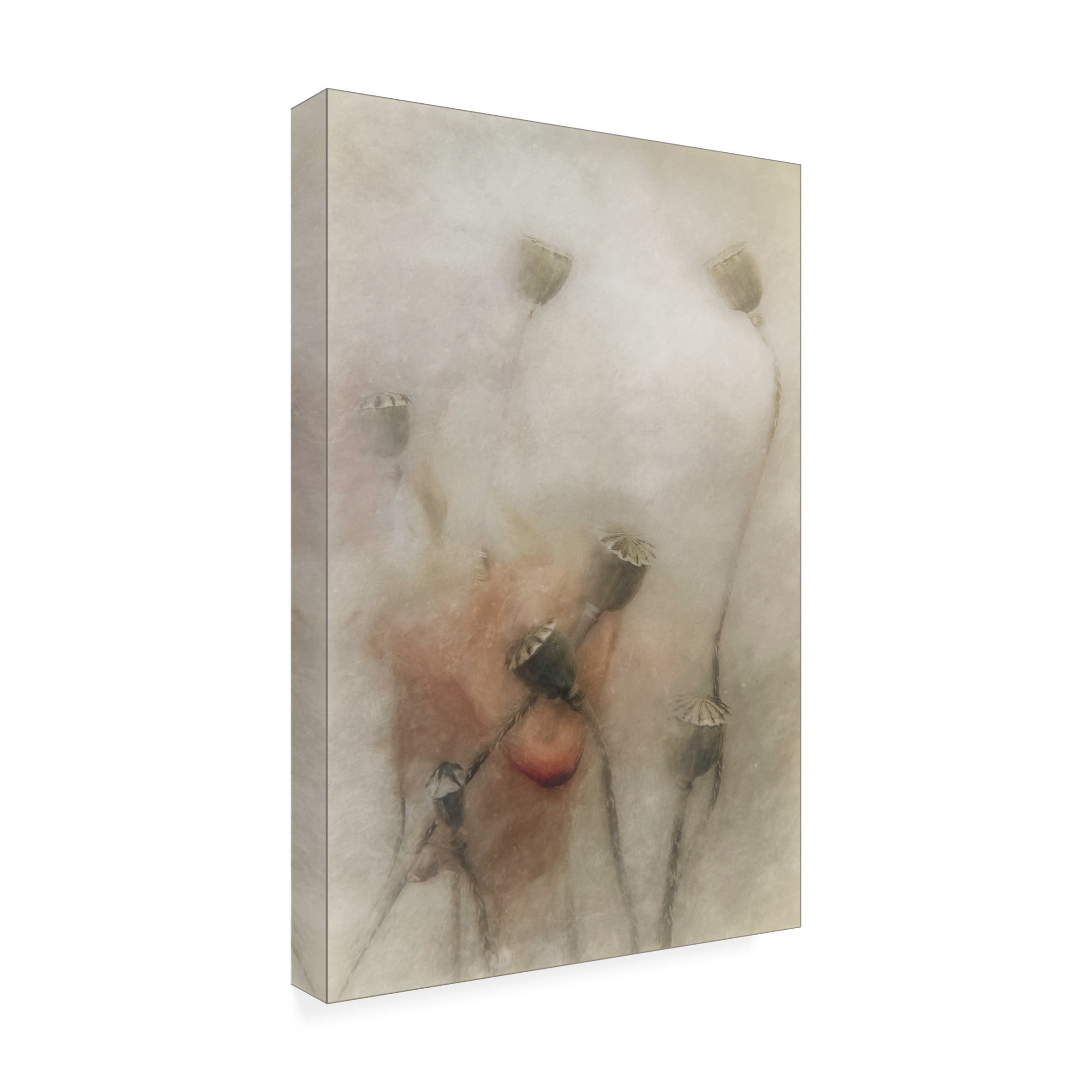 Canvas Wall Art - Gilbert Claes 'Hopeful Future' Wall Art for Living Room, Bedroom, or Office Décor by Trademark Fine Art - 12 x 19 Inches