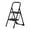 Black, variant on Folding Two-Step Ladder Stool,Suitable For Adults, With Wide,Non-Slip Steps, Ergonomic Design,Portable Steel Ladder,Suitable For Home,Kitchen,And Office,With A Weight Capacity Of 600 Lbs (Two Steps).