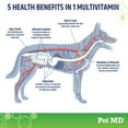 thumbnail image 4 of Pet MD 5in1 Dog Multivitamin - 30 Essential Vitamins, Minerals & Nutrients for Skin & Coat, Hip & Joint, Digestion, Immune & Senior Dog Vitamins - Glucosamine, Omega 3 6 9, & Probiotics - 120 ct, 4 of 7