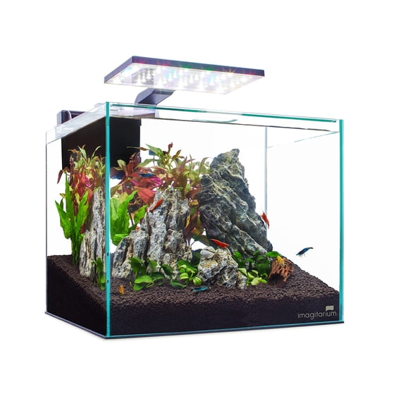 Imagitarium Glass Shrimp & Aquatic Plants Aquarium 5 Gallons