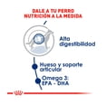 thumbnail image 3 of Alimento Para Perro Royal Canin Large Adulto 13.6kg, 3 of 4