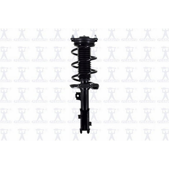 Suspension Strut and Coil Spring Assembly