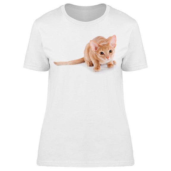 Amazing Abyssinian Cat T-Shirt Women -Image by Shutterstock, Female Large