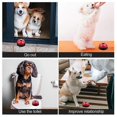 thumbnail image 5 of Dog Training Bell, Set of 2 Dog Puppy Pet Potty Training Bells, 5 of 5