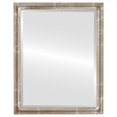 thumbnail image 1 of Pasadena Framed Mirror - Champagne Silver, 1 of 6