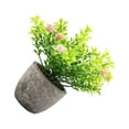 thumbnail image 2 of kurtrusly Realistic Artificial Succulent Low Maintenance Elegant Easy To Clean Artificial Money Tree In Pot pink babysbreath 1Set, 2 of 6