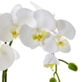 thumbnail image 2 of Nearly Natural 4569 Phalaenopsis Orchid in Ceramic Pot, 2 of 3