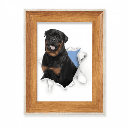 Animal Paper Break Shocks Bad Dogs Desktop Wooden Photo Frame Display ...