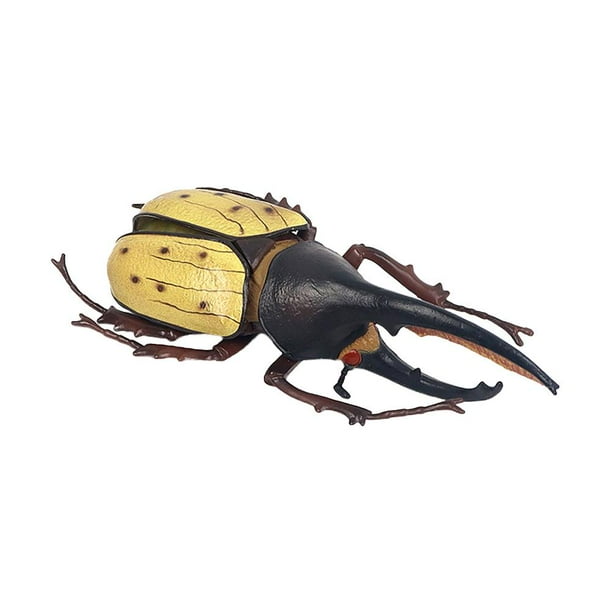 Modelo De Insecto Simulado Modelo De Insecto Realista Insecto De Plástico Y Decoración De Insectos Juguetes Para Niños Eigraketly FN007276-02
