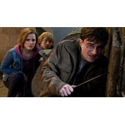 Harry Potter Complete 8-Film Collection Box set (DVD)