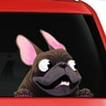 thumbnail image 5 of SPRING PARK 3D Lovely Cartoon Dog Car-Styling Vehicle Window Decals Sticker Decoration, 5 of 7