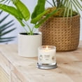 thumbnail image 3 of Yankee Candle Coconut Beach Scented Candle, Signature Collection Small Tumbler - Single Wick - 4.3oz, 3 of 7