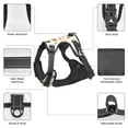 thumbnail image 6 of Bingfone Sushi And Rolls No Pull Dog Vest Harness For Small Medium Large Dogs Strap For Puppy Walking,Training,Dog Harness-Medium, 6 of 9