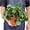 8_PEPEROMIA_RANA.VERDE, variant on Peperomia Rana Verde - Live Air-Purifying Indoor Plant in Nursery Pot – Easy Care, Low Maintenance Houseplant for Home & Office Decor, Natural Air Cleaner, Best for Beginners (4"Pot)