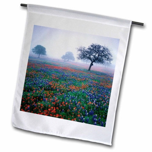 3dRose, Texas paintbrush, bluebonnets, Hill Country, Texas USA - US44 AJE0055 - Adam Jones, 18 x 27 inch Garden Flag