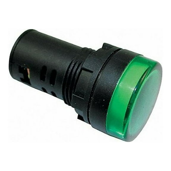 Dayton Raised Indicator Light,22mm,24V Green 22NY98