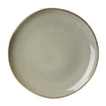 thumbnail image 1 of Oneida 365 Organic Shades Green Dinner Plate, 1 of 5