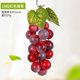 thumbnail image 3 of Uvas artificiales colgantes, frutas artificiales de plástico para bricolaje, decoración del hogar, jardín, suministros para fiestas de bodas y Navidad, 3 of 5