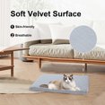thumbnail image 5 of Sofa Seat Cushion Covers 40x30 Removable And Washable Cats And Dog Four Seasonss Universal Sofa Cushions Cushions Pet Cushions High Density Sponge Cushions Gray, 5 of 7