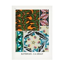 Trademark Fine Art Pictufy Butterflies 17 Canvas Wall Art